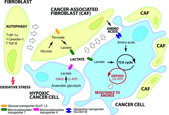 Figure 4: