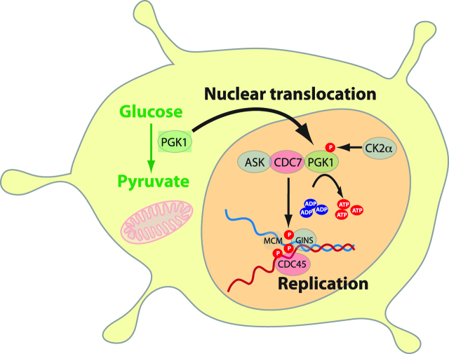 Figure 6: