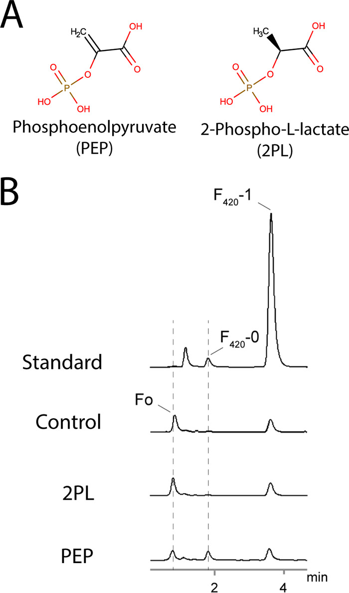 FIG 1