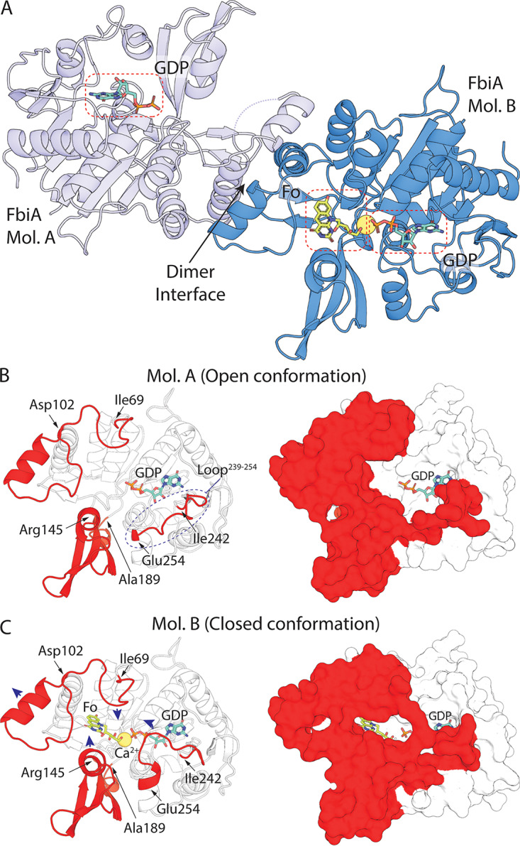 FIG 3