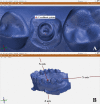 Fig. 9
