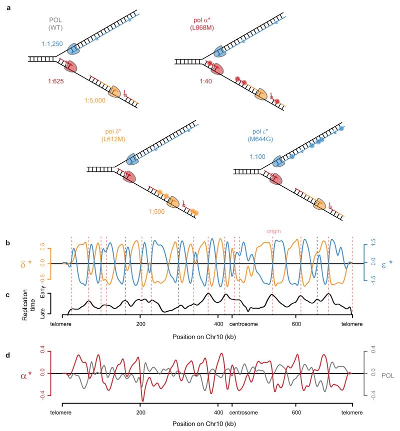 Extended Data Figure 3