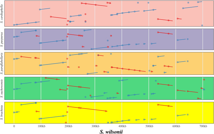 Figure 4