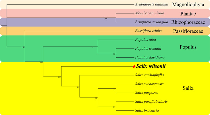 Figure 6