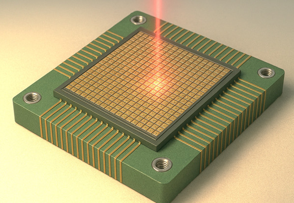 graphic file with name 40580_2025_515_Figa_HTML.jpg