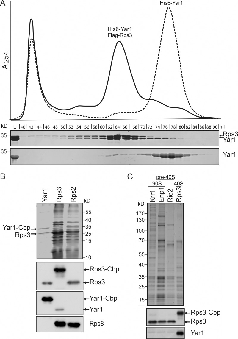 FIGURE 1.