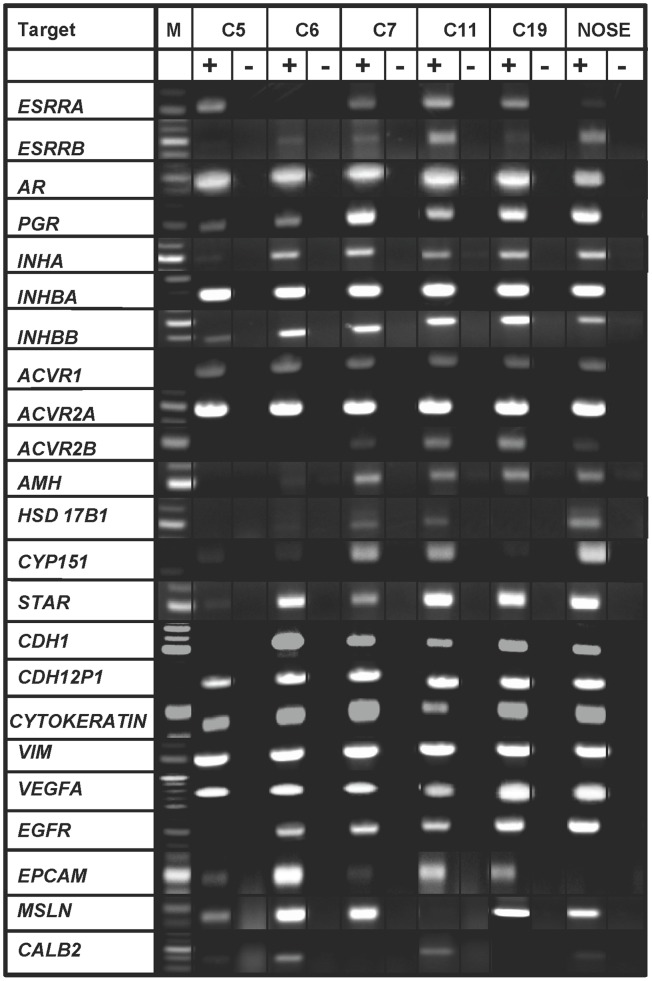 Figure 7