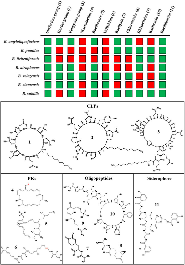 FIGURE 1