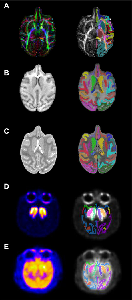 Fig. 5.