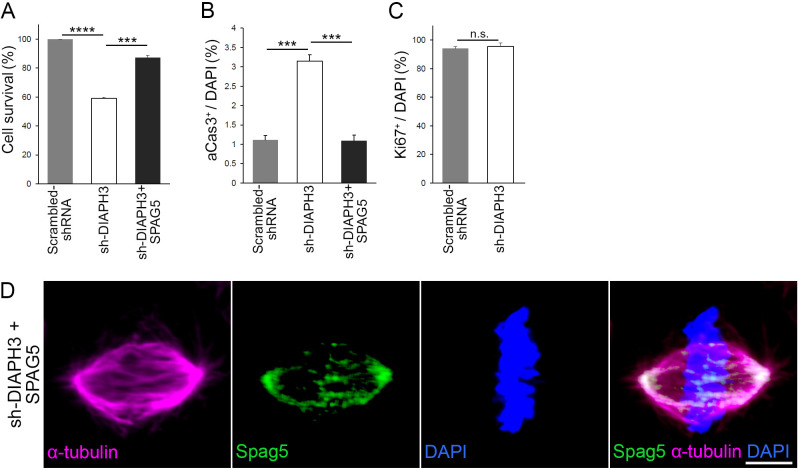 Figure 1—figure supplement 1.