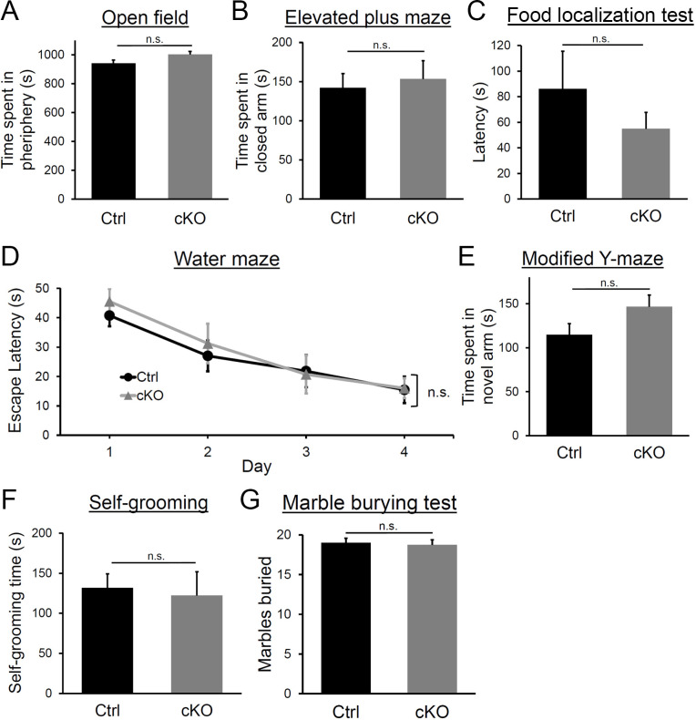 Figure 5—figure supplement 1.