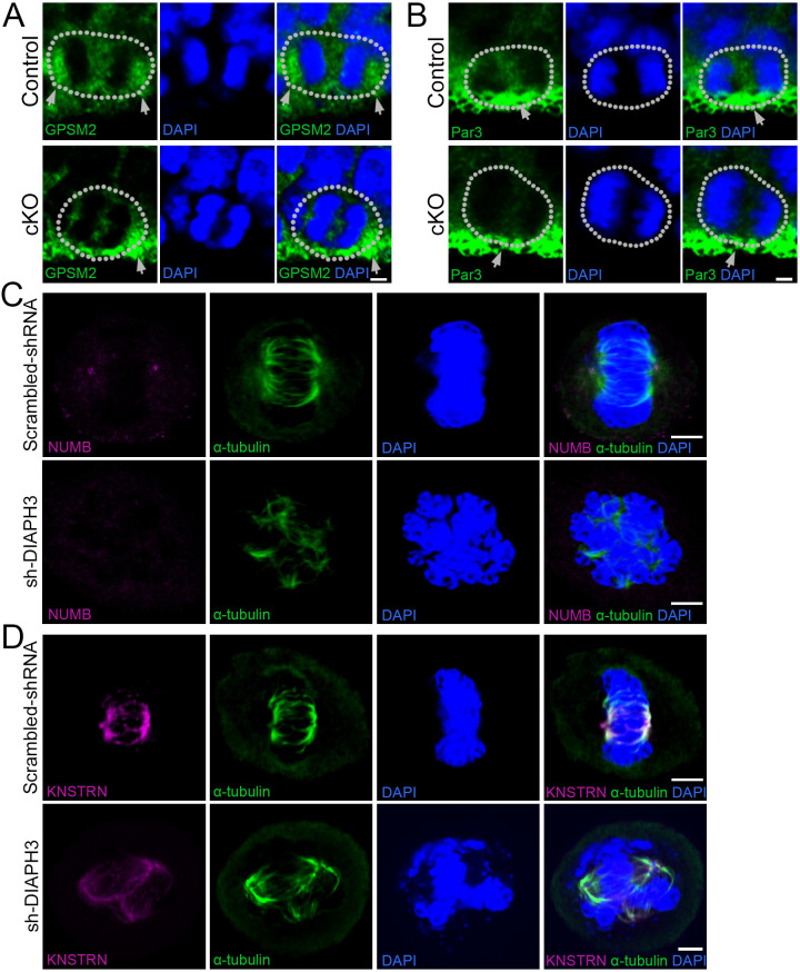 Figure 2—figure supplement 2.