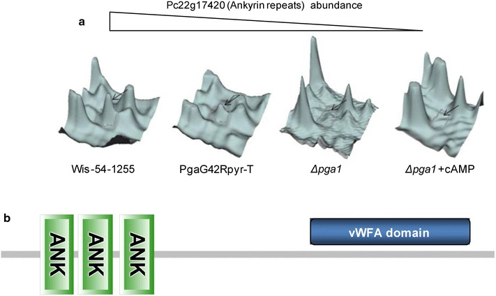 Fig. 6