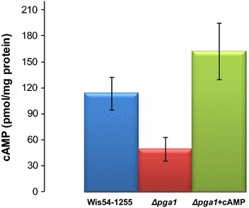 Fig. 1