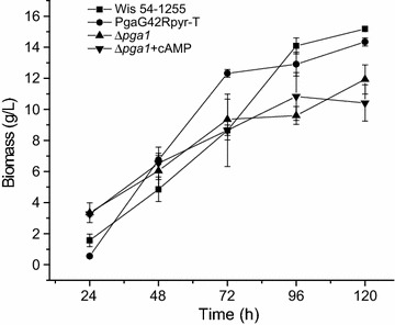 Fig. 8