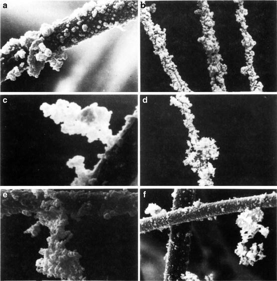 Fig. 3.40