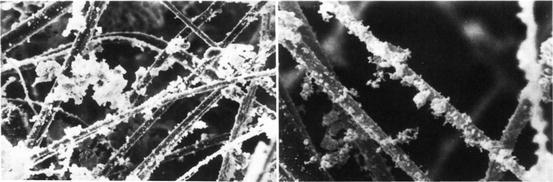 Fig. 3.39