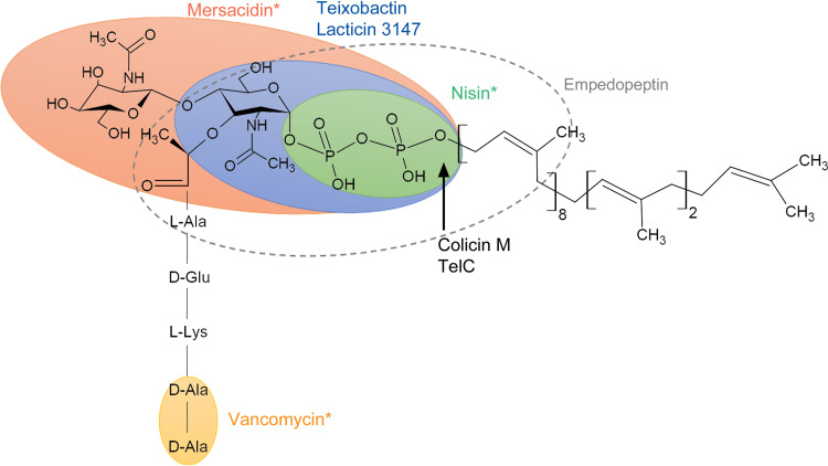 FIG 3