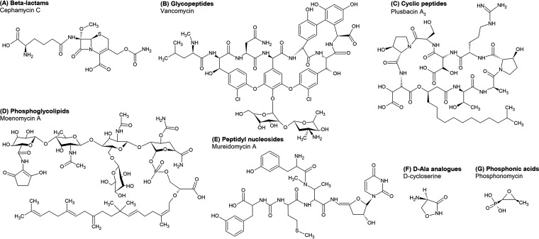 FIG 2