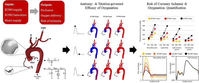 graphic file with name nihms-2034281-f0001.jpg