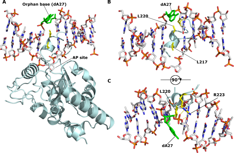 Figure 2.