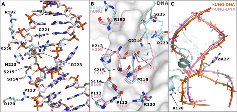 Figure 6.