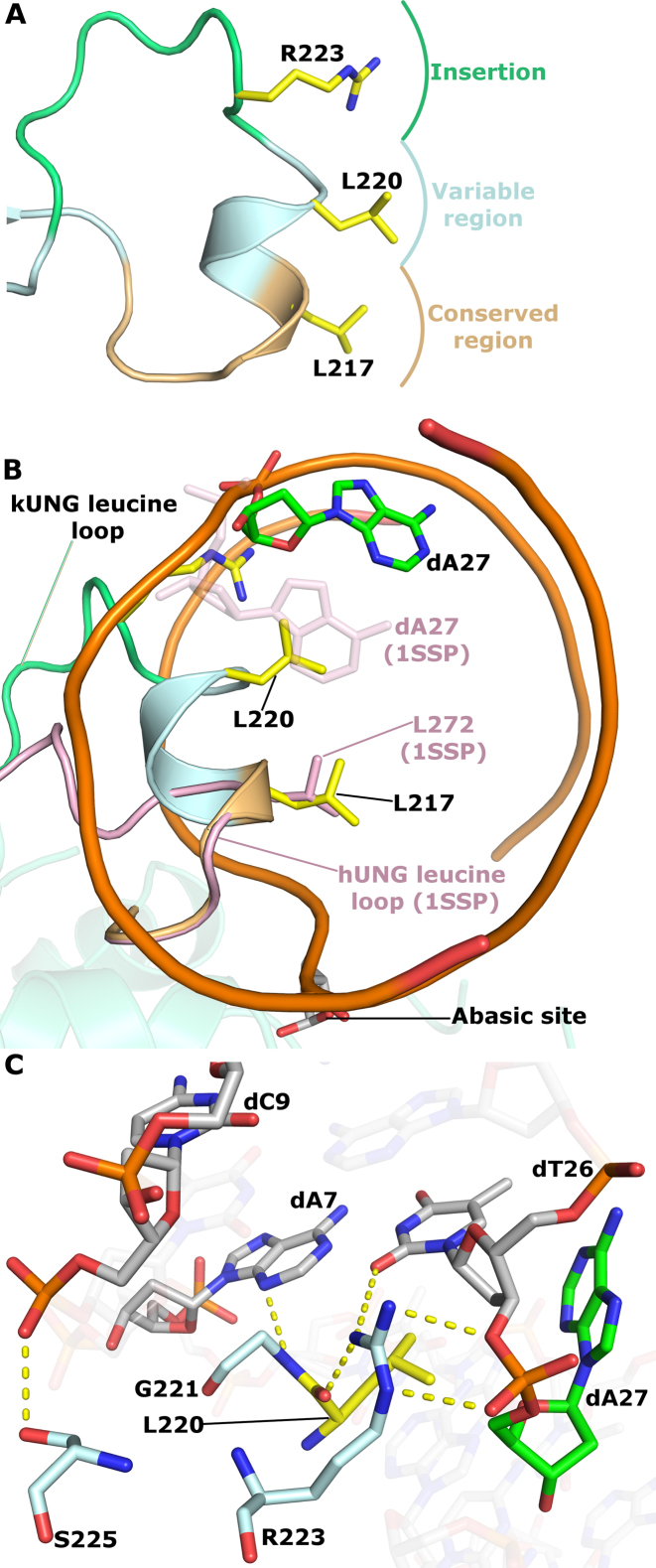 Figure 5.