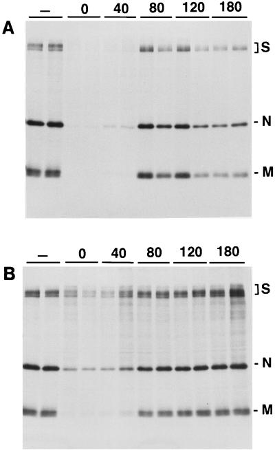 FIG. 6