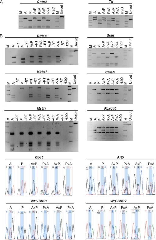 FIG. 2.