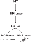 Fig.8