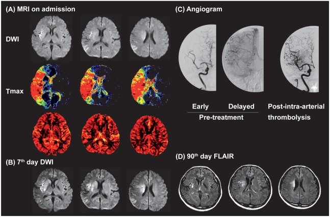 Fig. 3