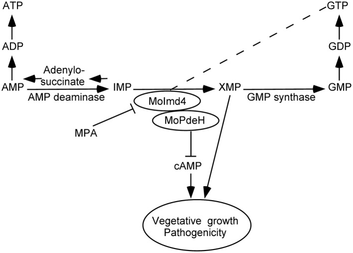 Figure 9