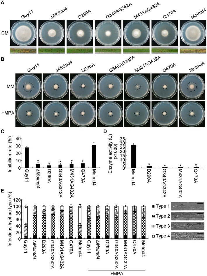 Figure 4