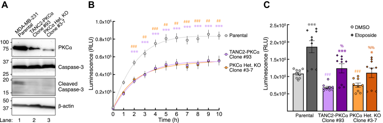 Figure 5