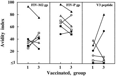 FIG. 5