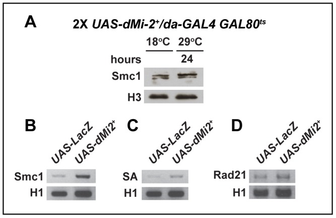 Figure 9