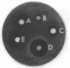 51