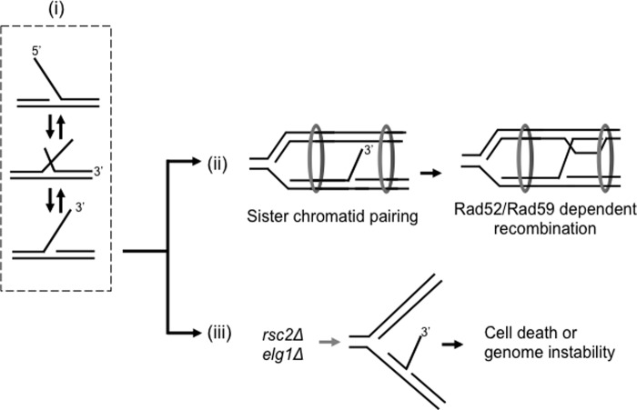 FIGURE 9.