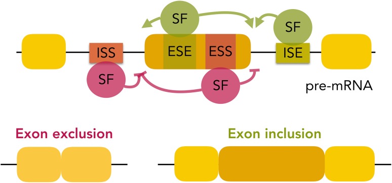 Fig. 2