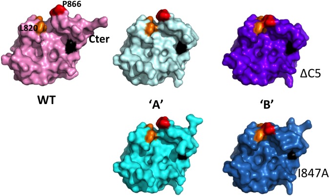 Fig 3