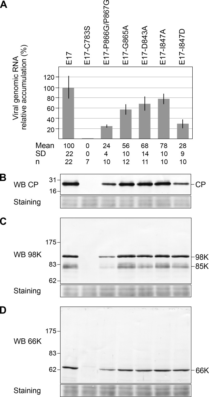 Fig 6