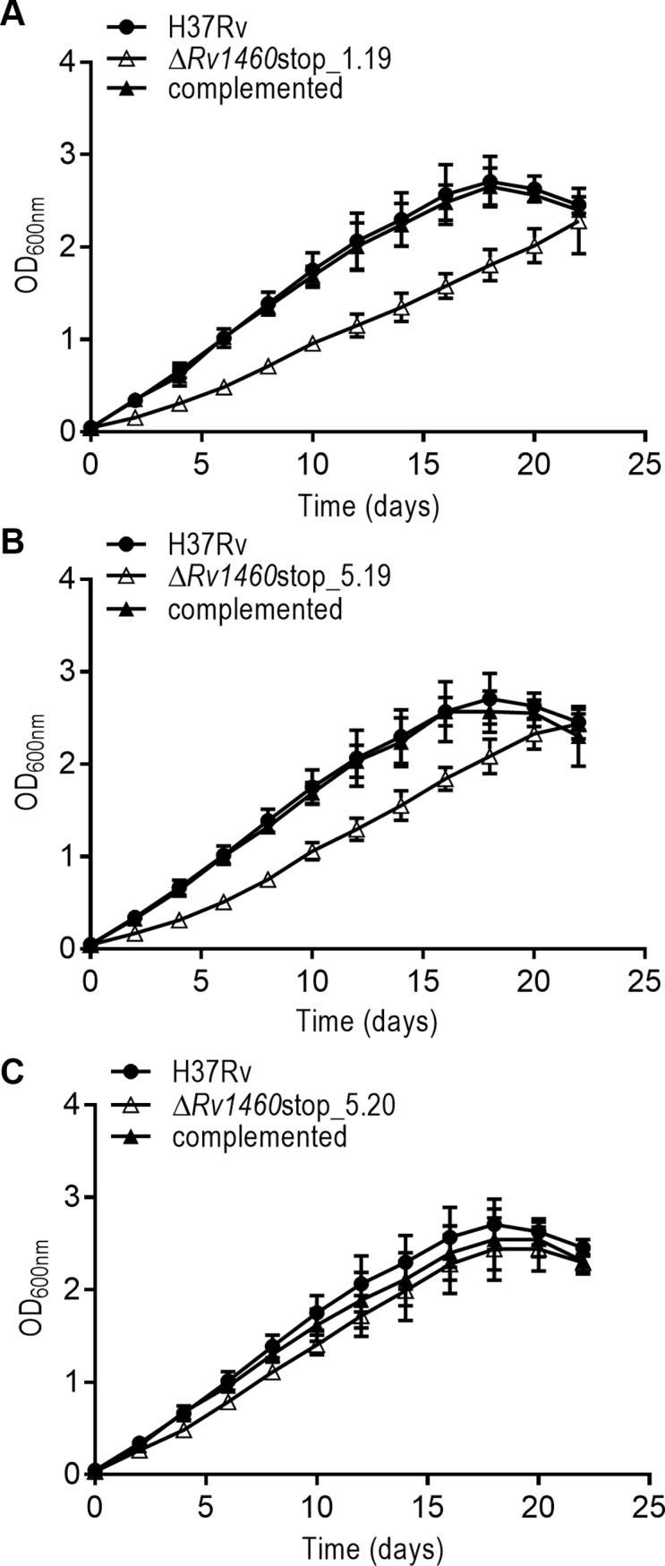 Fig 4