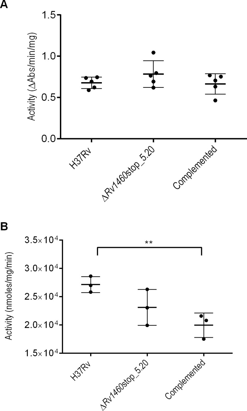 Fig 5