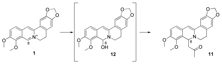 Scheme 4