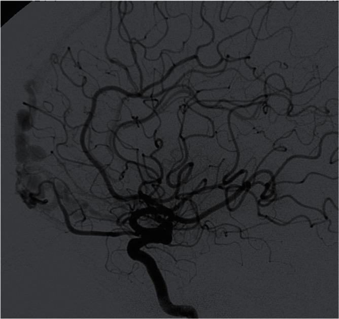 
Fig. 8
