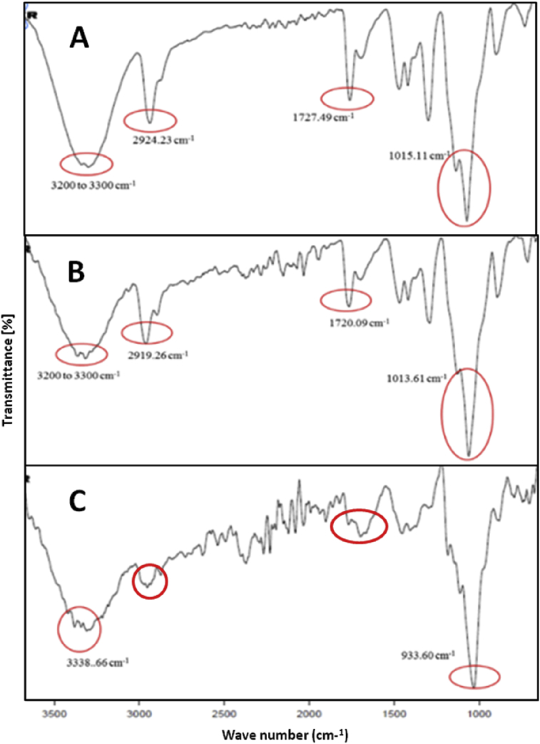 Fig. 4