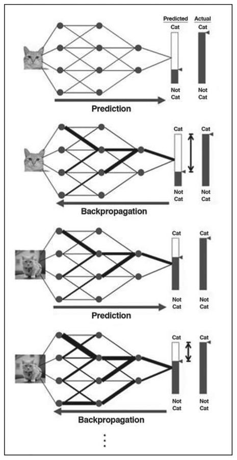 Fig. 3—