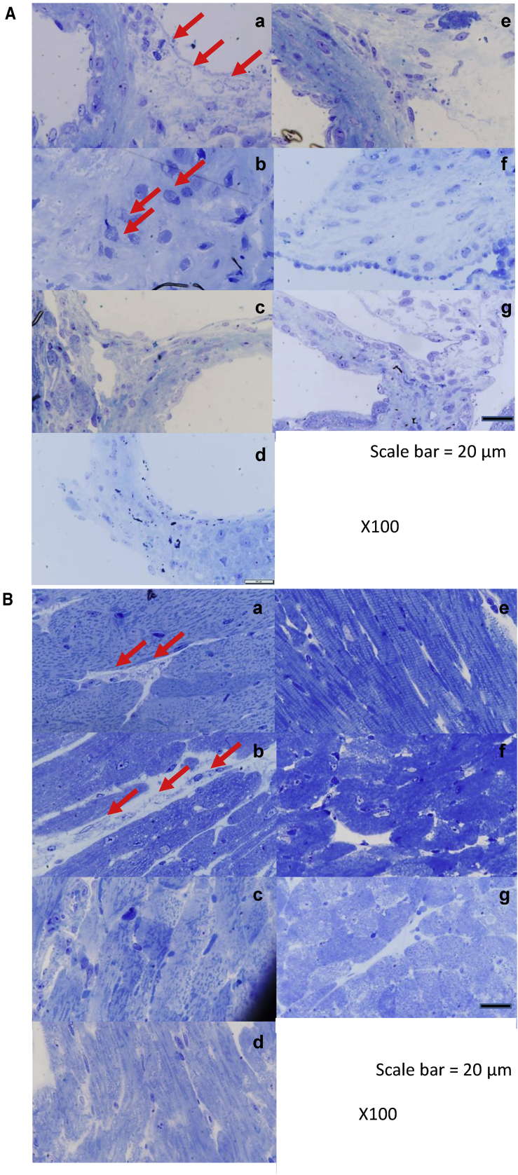 Figure 5