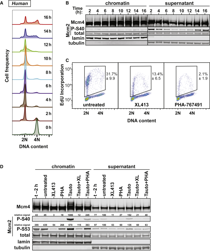 Figure 2