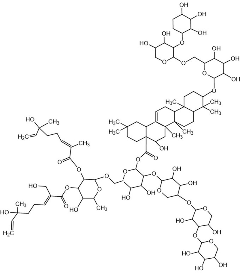 FIGURE 1